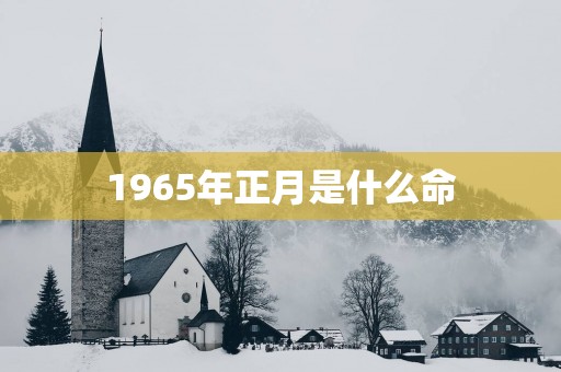 1965年正月是什么命