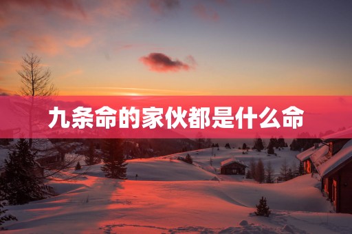 九条命的家伙都是什么命