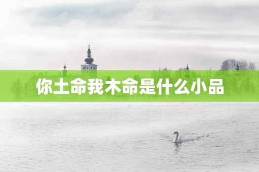 你土命我木命是什么小品