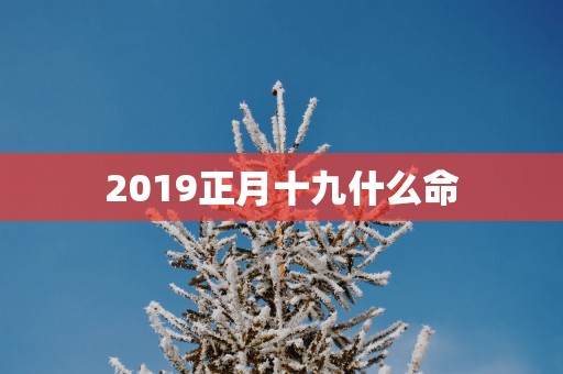 2019正月十九什么命