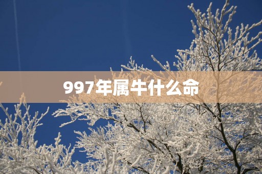 997年属牛什么命