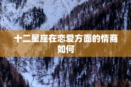 十二星座在恋爱方面的情商如何