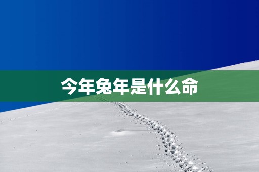 今年蛇年是什么命