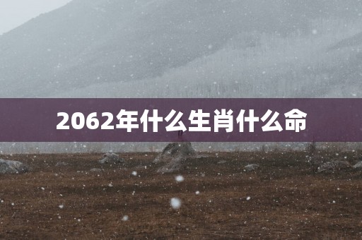 2062年什么生肖什么命