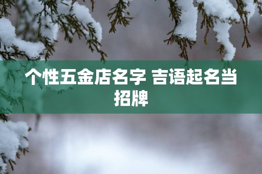 个性五金店名字 吉语起名当招牌