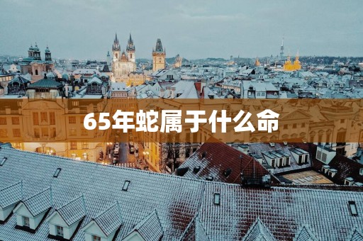 65年蛇属于什么命