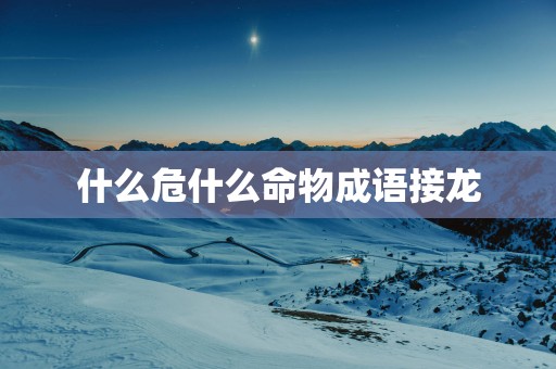 什么危什么命物成语接龙