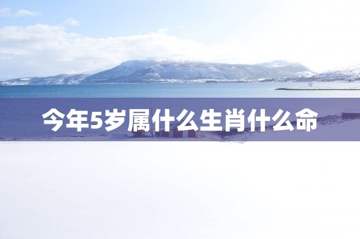 今年5岁属什么生肖什么命