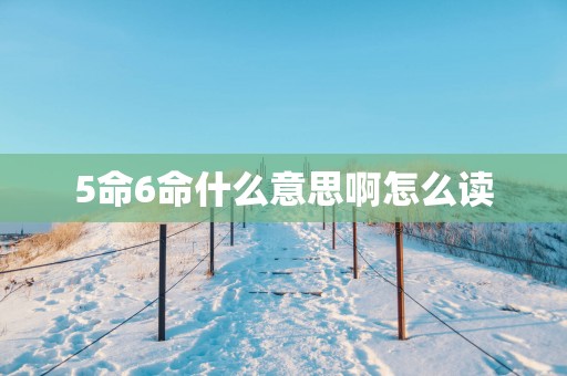 5命6命什么意思啊怎么读