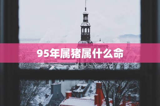 95年属猪属什么命
