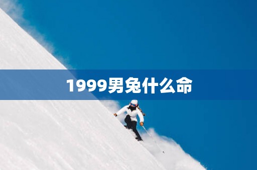 1999男兔什么命