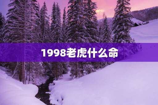 1998老虎什么命