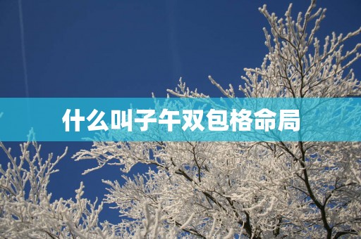 什么叫子午双包格命局 什么叫子午双包格命局