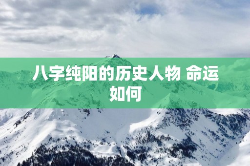 八字纯阳的历史人物 命运如何