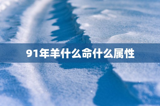 91年羊什么命什么属性