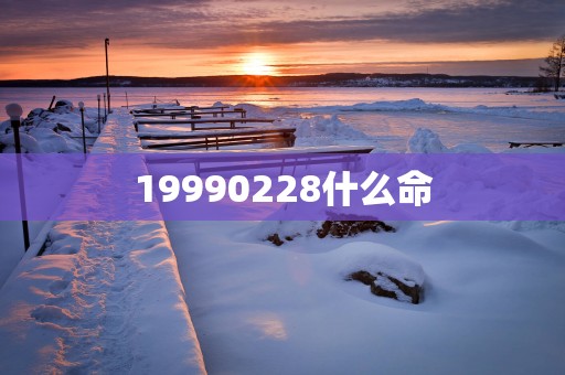 19990228什么命