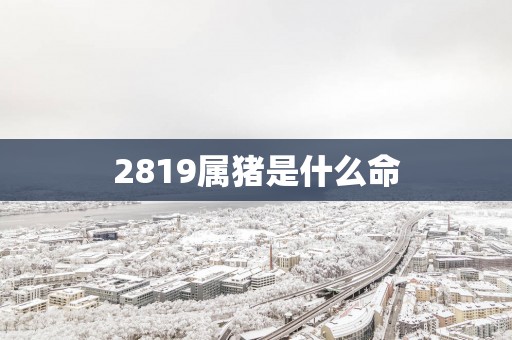 2819属猪是什么命