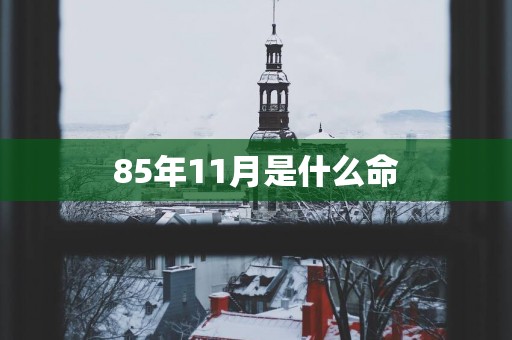 85年11月是什么命