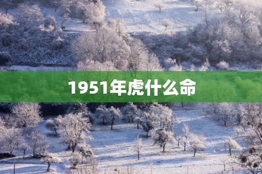 1951年虎什么命