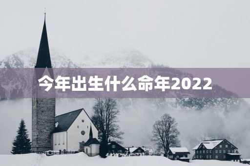 今年出生什么命年2025