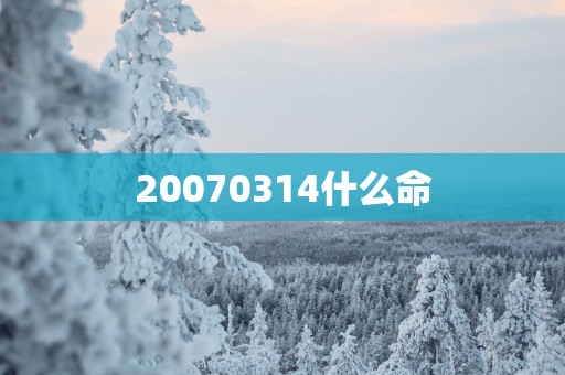 20070314什么命