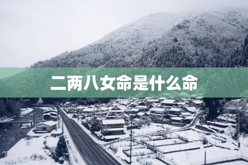 二两八女命是什么命