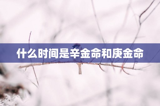 什么时间是辛金命和庚金命