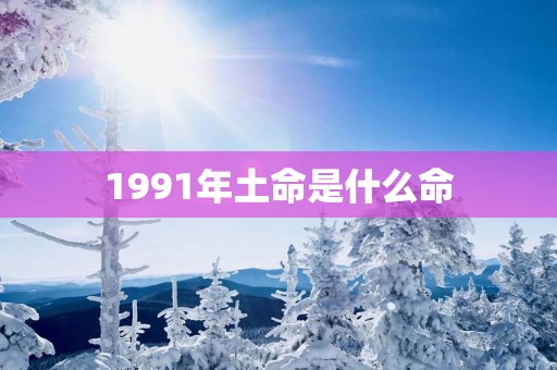 1991年土命是什么命