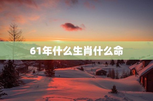 61年什么生肖什么命