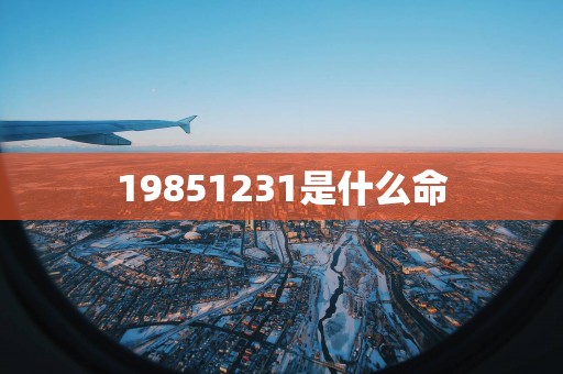 19851231是什么命