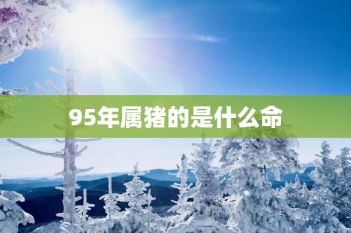 95年属猪的是什么命