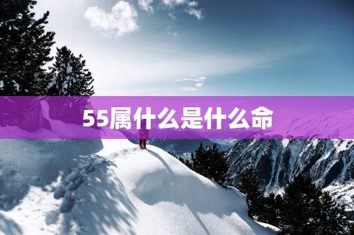 55属什么是什么命