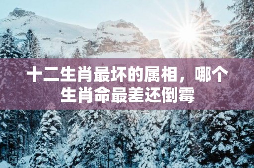 十二生肖最坏的属相，哪个生肖命最差还倒霉