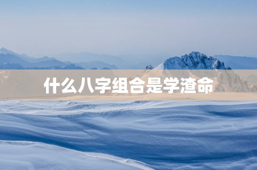 什么八字组合是学渣命