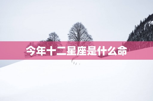 今年十二星座是什么命