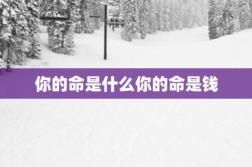 你的命是什么你的命是钱