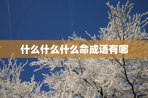 什么什么什么命成语有哪