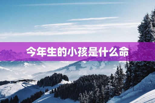 今年生的小孩是什么命
