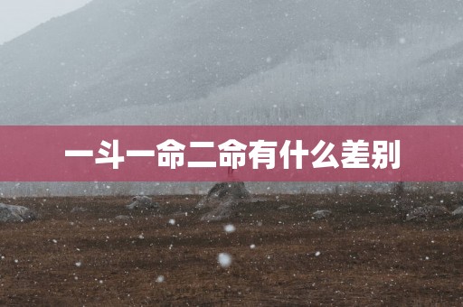一斗一命二命有什么差别