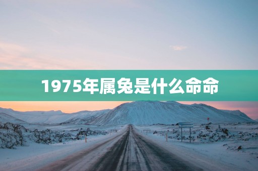 1975年属兔是什么命命