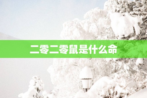 二零二零鼠是什么命