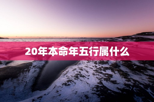 20年本命年五行属什么