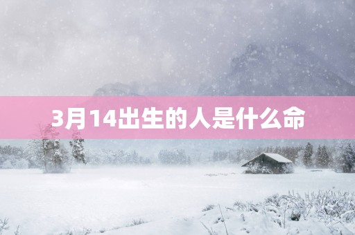 3月14出生的人是什么命