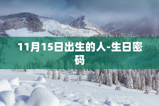 11月15日出生的人-生日密码