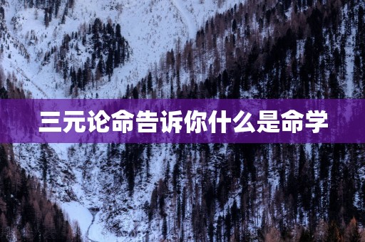 三元论命告诉你什么是命学