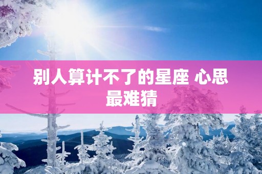 别人算计不了的星座 心思最难猜