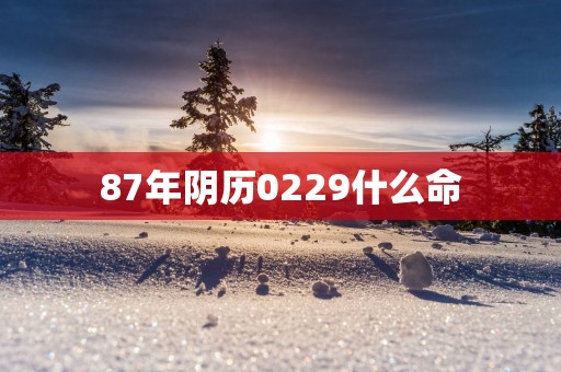 87年阴历0229什么命