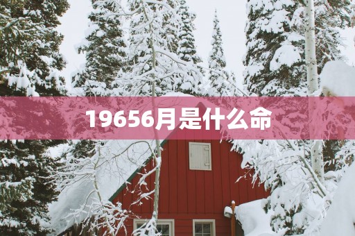 19656月是什么命