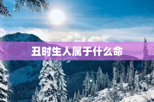 丑时生人属于什么命