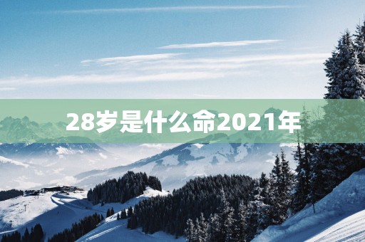 28岁是什么命2025年